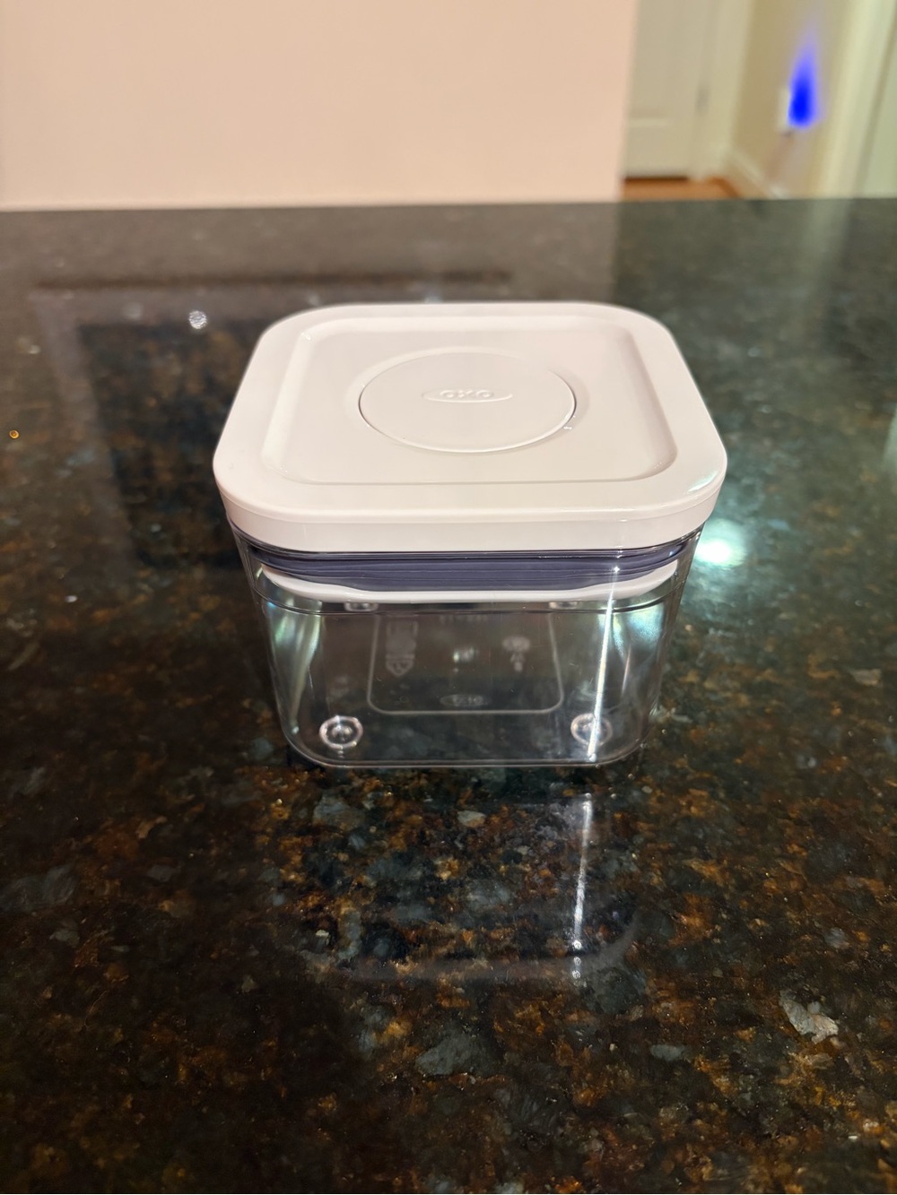 Mini OXO storage bin